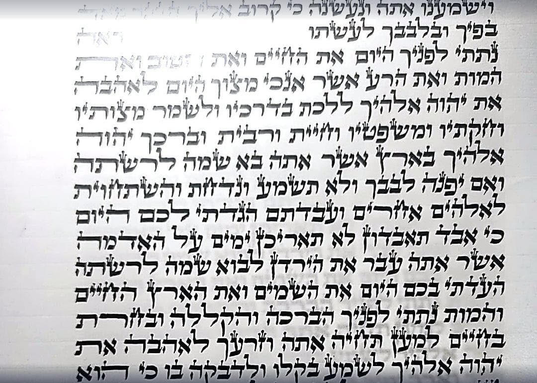 Torah Scroll - Mehudar - (56 cm)
