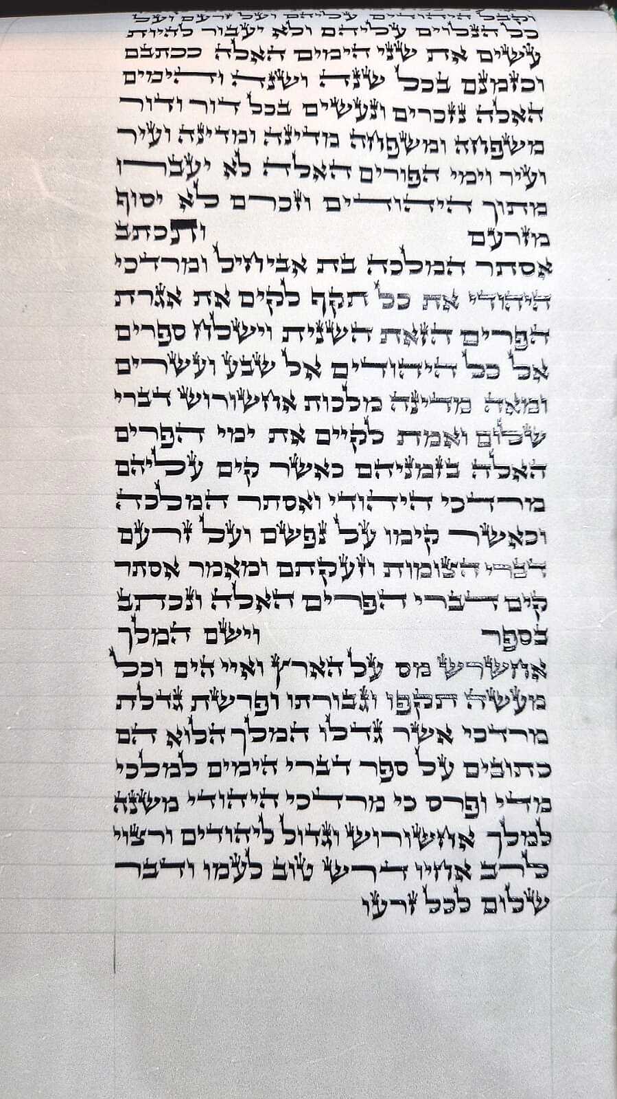 Ari Chabad Esther Scroll · 48 cm - Mehudar - (42 lines)
