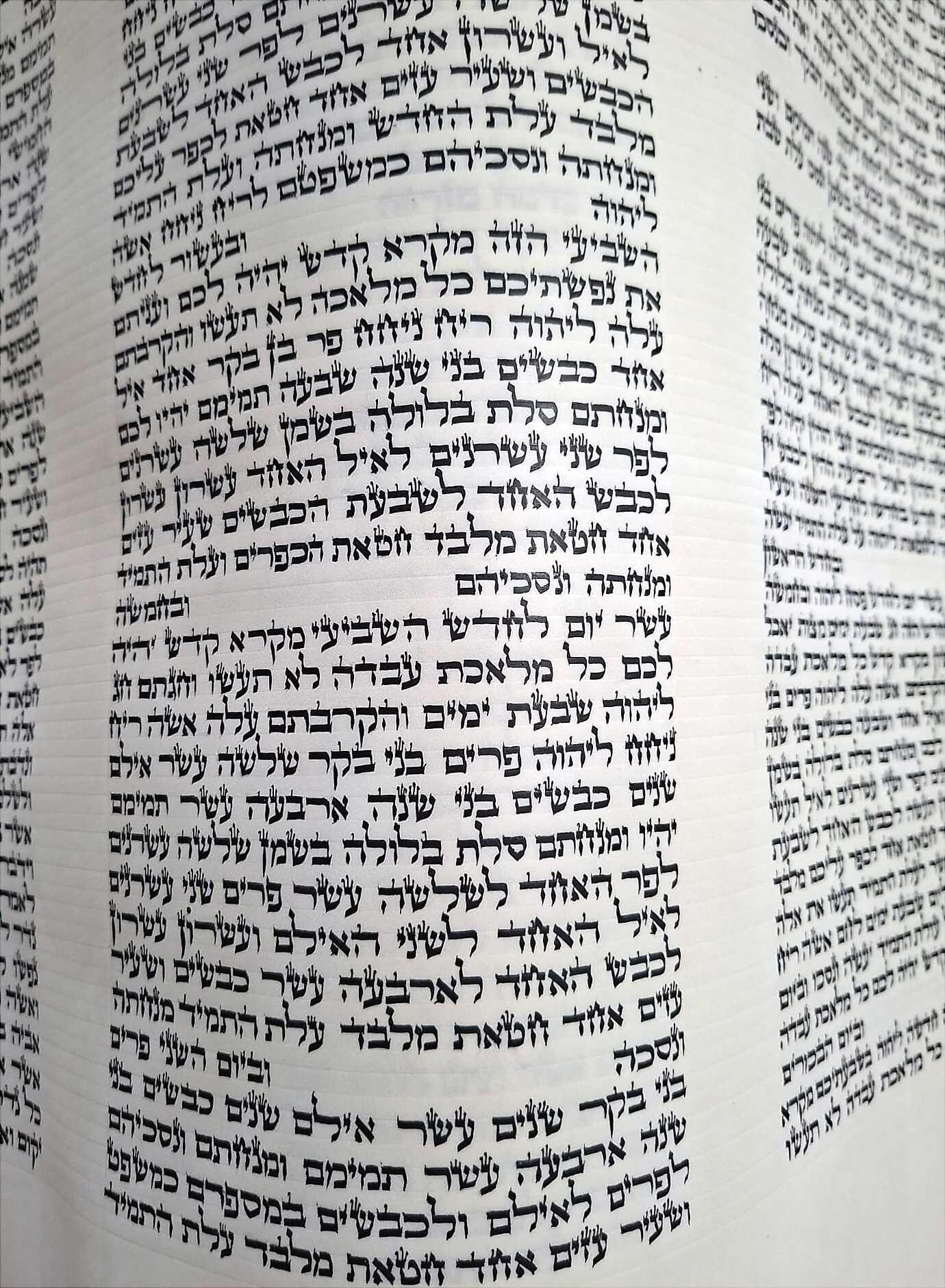 Torah Scroll - Mehudar Min HaMehudar - (56 cm)