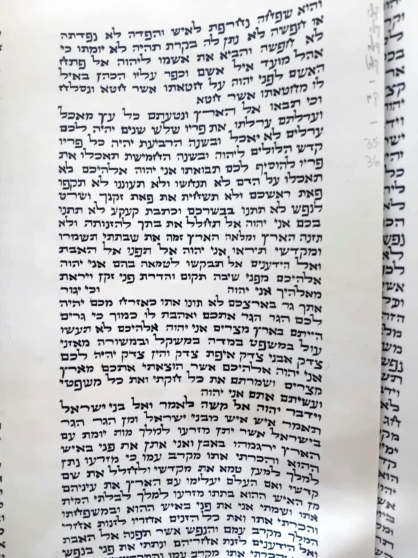 ספר תורה - מהודר - (30 ס״מ)
