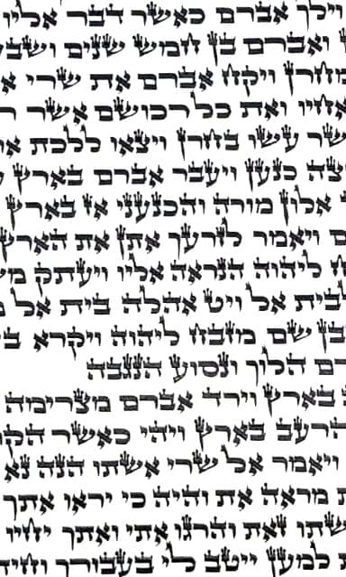 Torah Scroll - Beit Yosef - Mehudar Min HaMehudar