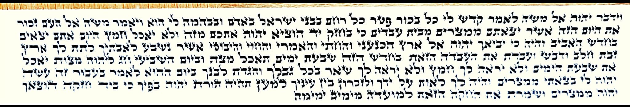 Tefillin Parshiyot - Mehudar
