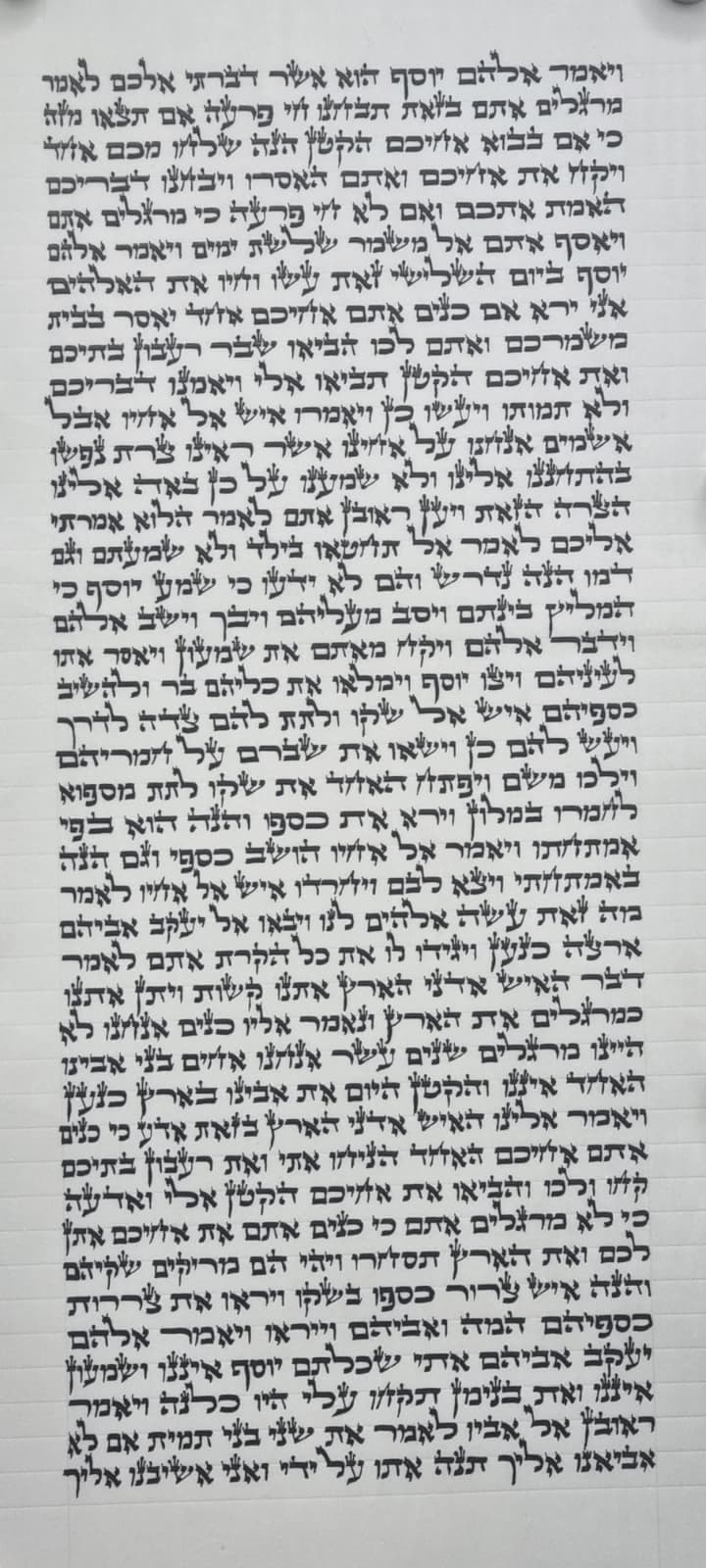 Torah Scroll - Beit Yosef (42 cm) - B