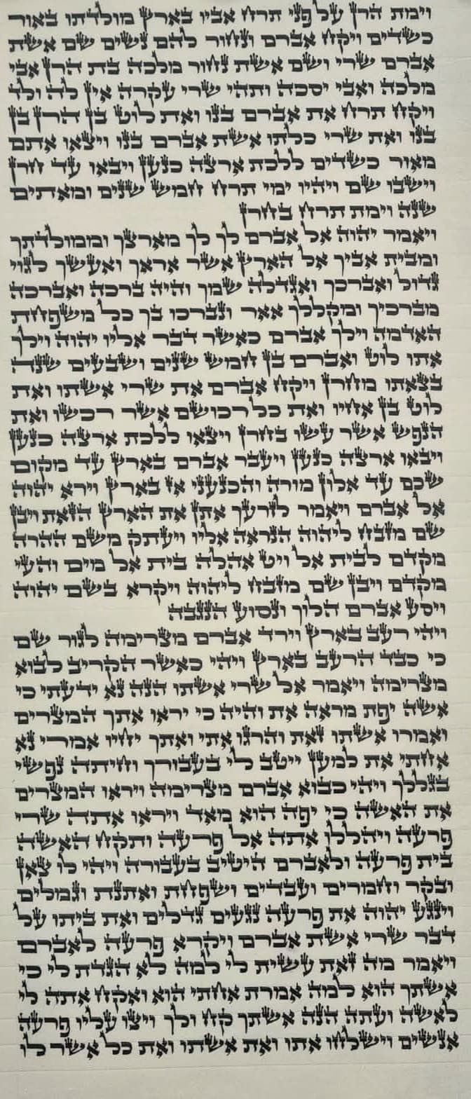 Torah Scroll - Beit Yosef (42 cm) - B