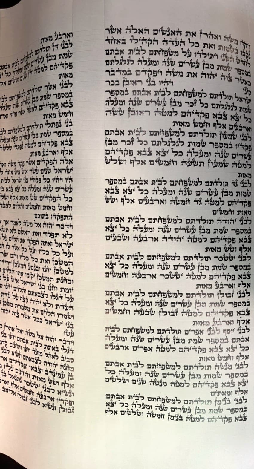 ספר תורה - כשר לכתחילה