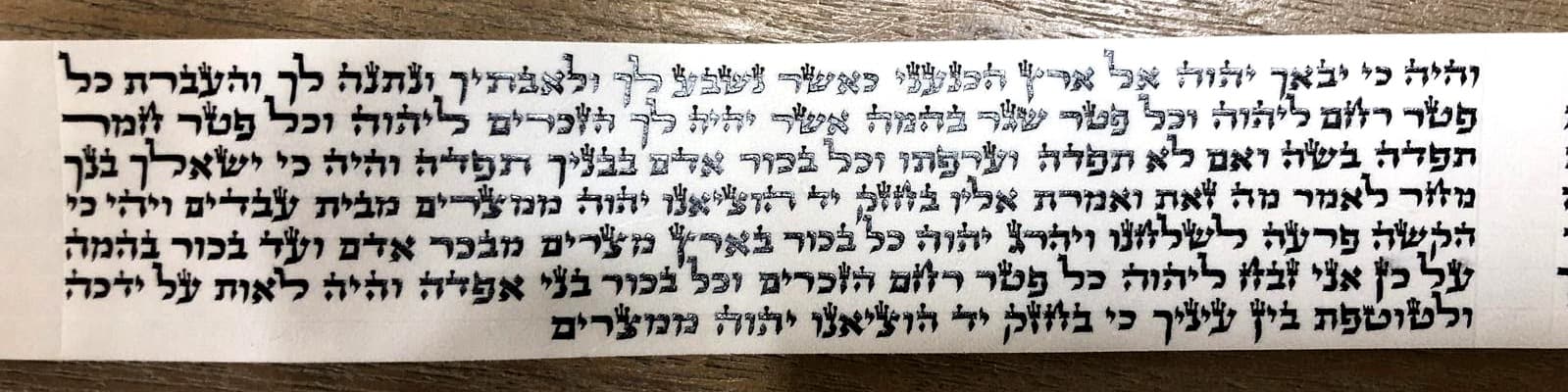 פרשיות תפילין - כתב ספרדי - מהודר