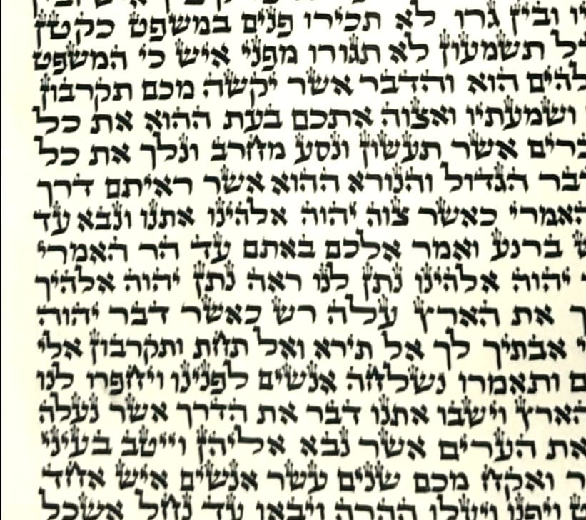 ספר תורה ספרדי - מהודר - (36 ס״מ)