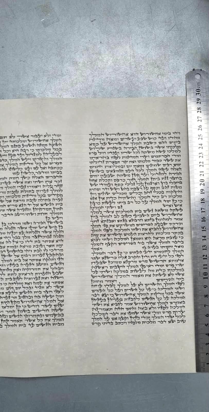Esther Scroll - Mehudar - (42 lines)