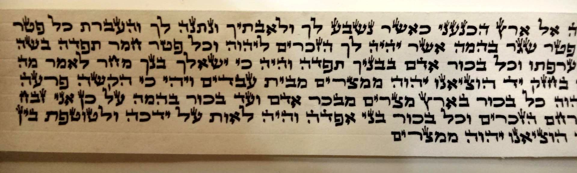 פרשיות תפילין - כשר לכתחילה