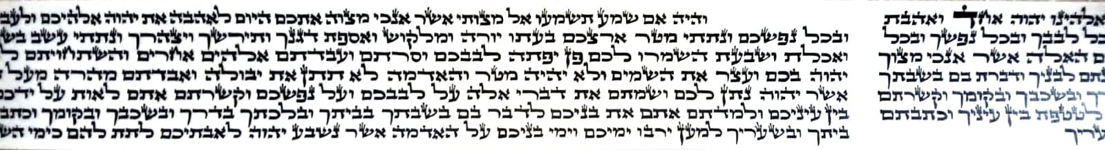 פרשיות תפילין מהודרות - מהודר מן המהודר