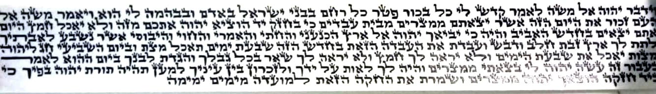 פרשיות תפילין פיצפון - מהודר מן המהודר